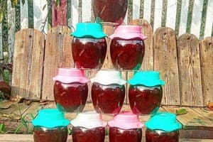 Дім мандрівника 15