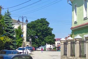 Дворівневі Лофт-Апартаменти у Старому місті 5