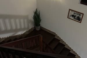 У Доминикана 10